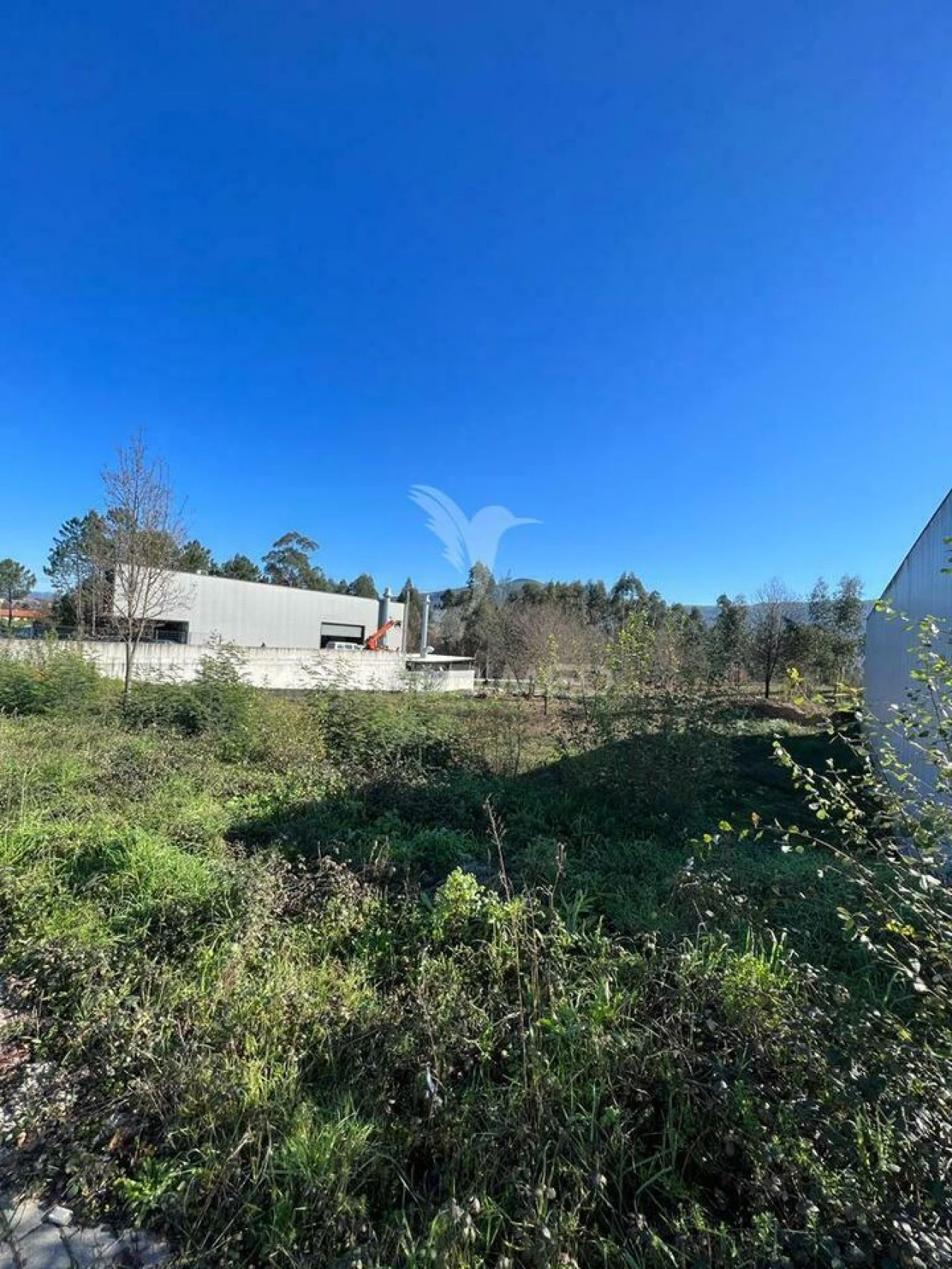 Terreno para Venda em Briteiros Santo Estêvão e Donim Foto 12