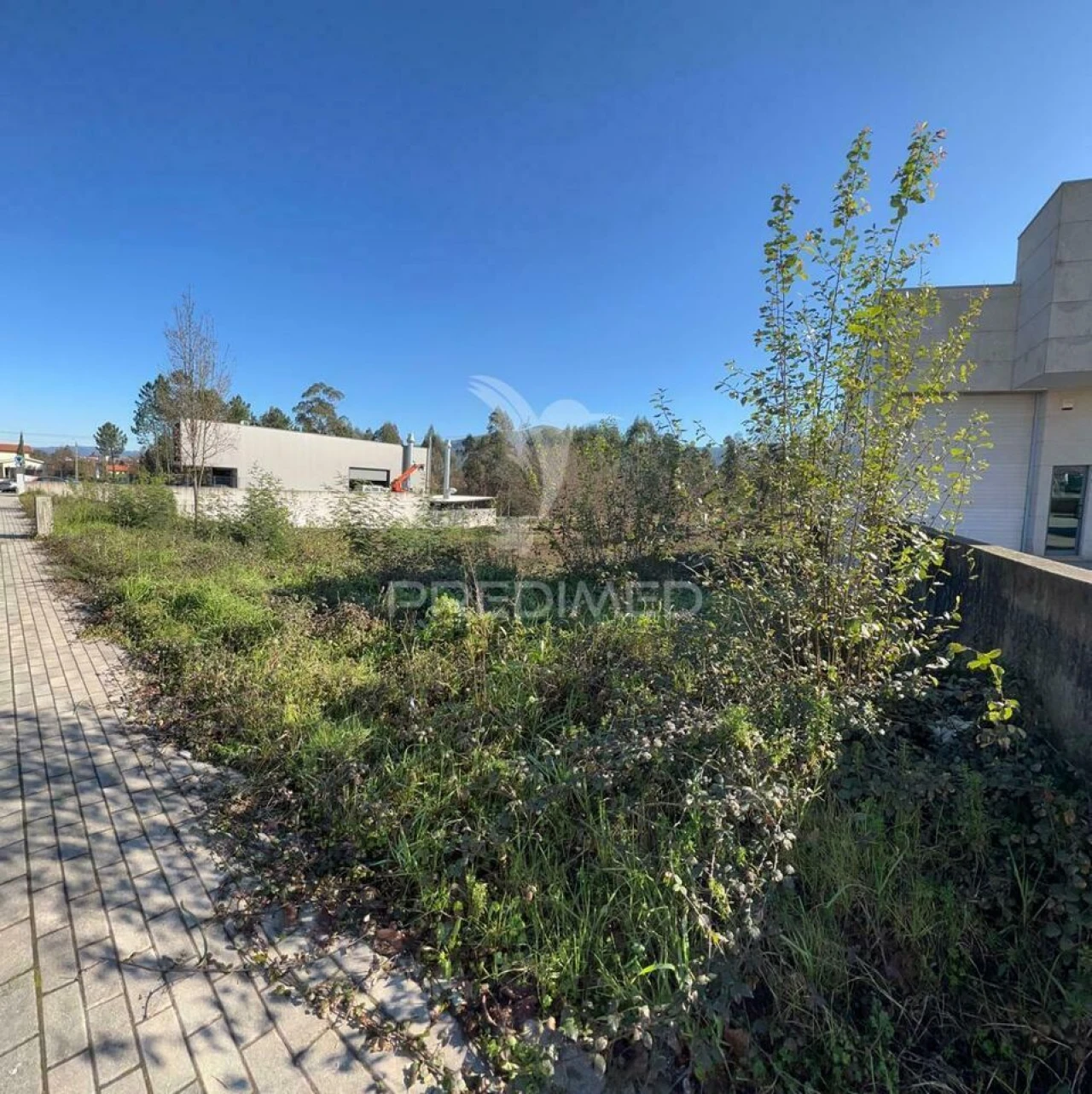 Terreno para Venda em Briteiros Santo Estêvão e Donim Foto 11