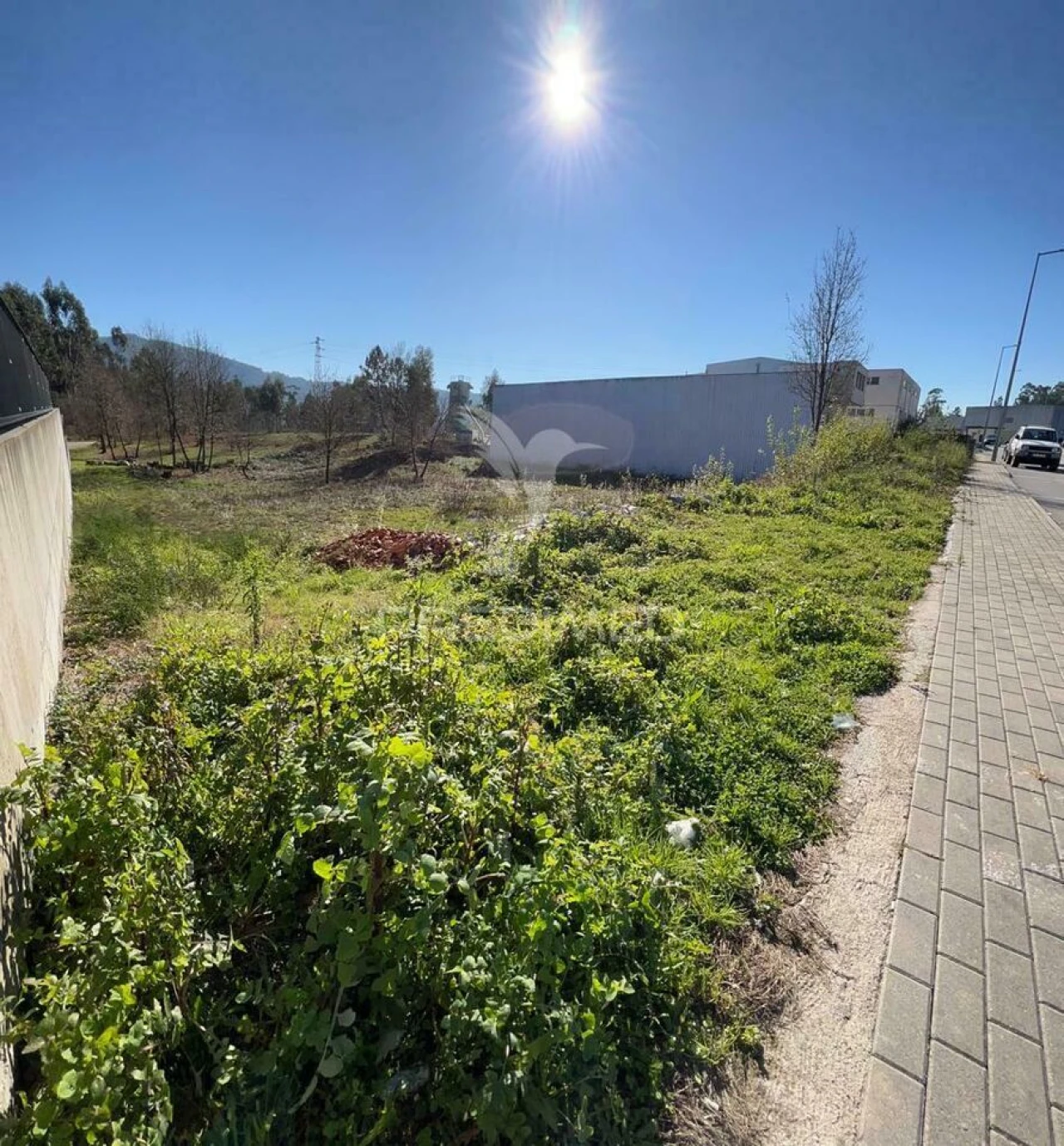 Terreno para Venda em Briteiros Santo Estêvão e Donim Foto 13