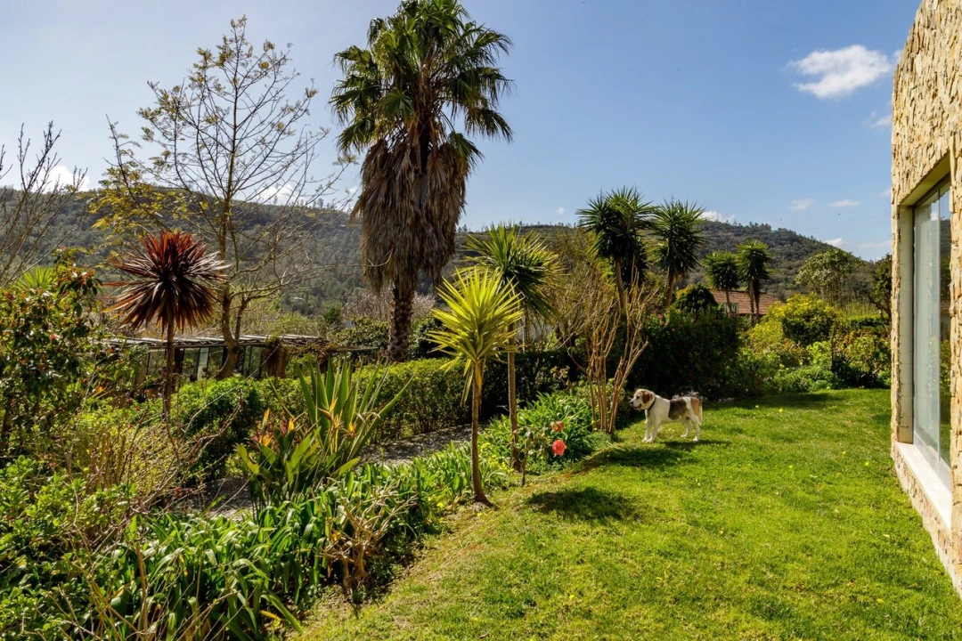 Moradia T6 para Venda em Santa Maria, São Pedro e Matacães Foto 8