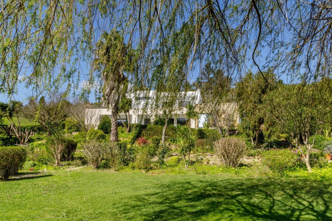 Moradia T6 para Venda em Santa Maria, São Pedro e Matacães Foto 54