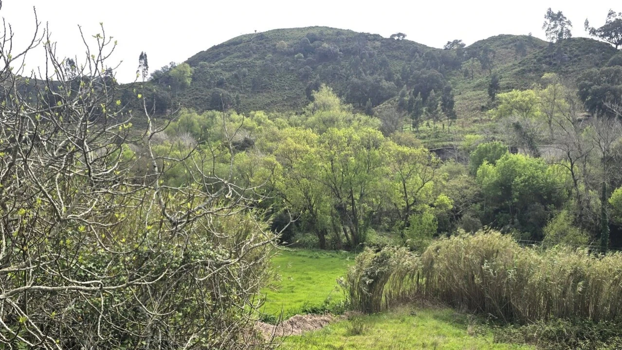 Moradia T3 para Venda em Azueira e Sobral da Abelheira Foto 13