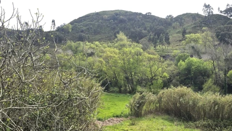 Moradia T3 para Venda em Azueira e Sobral da Abelheira