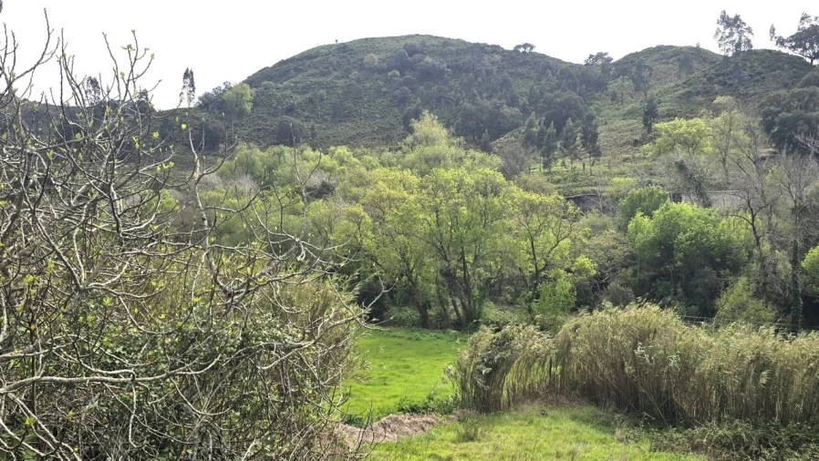 Moradia T3 para Venda em Azueira e Sobral da Abelheira Foto 13