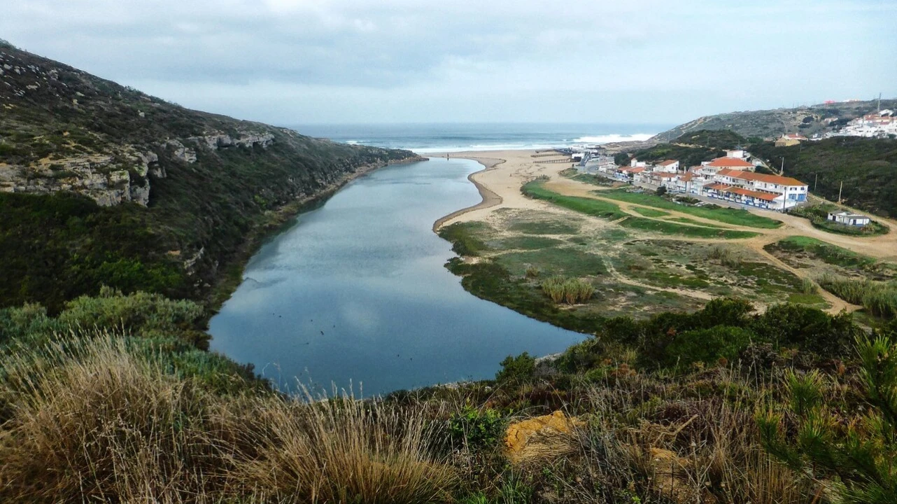 Terreno para Venda em Carvoeira Foto 6