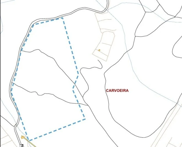 Terreno para Venda em Carvoeira Foto 27