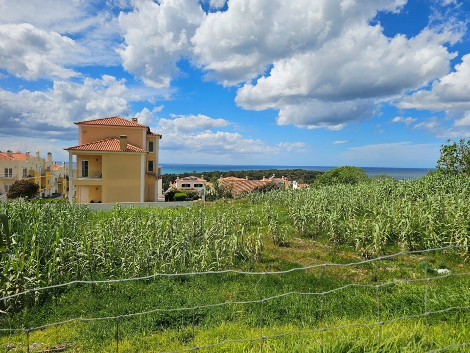 Terreno para Venda em Ericeira Foto 3