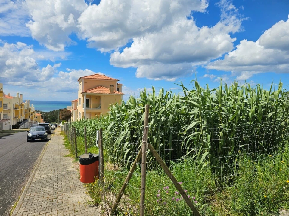 Terreno para Venda em Ericeira Foto 7