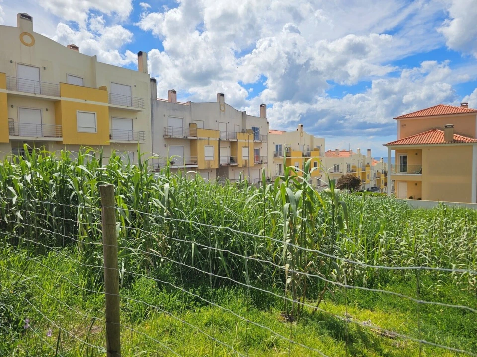 Terreno para Venda em Ericeira Foto 10