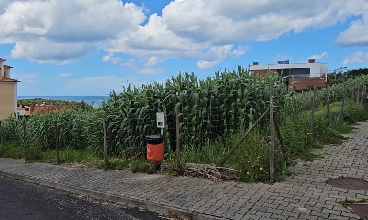 Terreno para Venda em Ericeira Foto 14