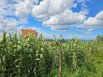 Terreno para Venda em Ericeira