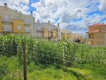 Terreno para Venda em Ericeira