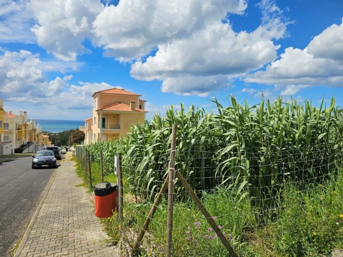 Terreno para Venda em Ericeira Foto 7