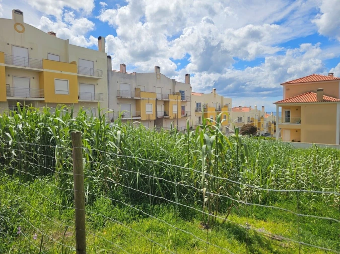 Terreno para Venda em Ericeira Foto 10