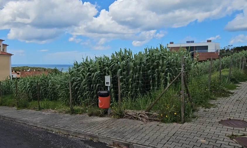 Terreno para Venda em Ericeira Foto 14