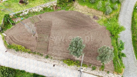 Quinta T0 para Venda em Sande e São Lourenço