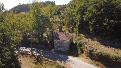 Quinta T0 para Venda em Sande e São Lourenço