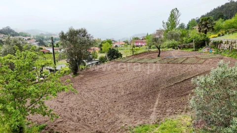 Quinta T0 para Venda em Sande e São Lourenço