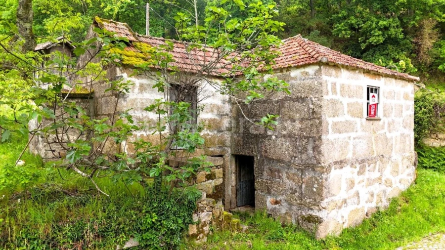 Quinta T0 para Venda em Sande e São Lourenço Foto 4