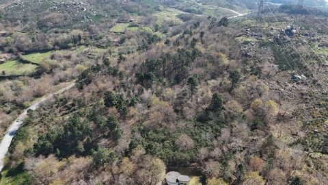Terreno para Venda em Campelo e Ovil