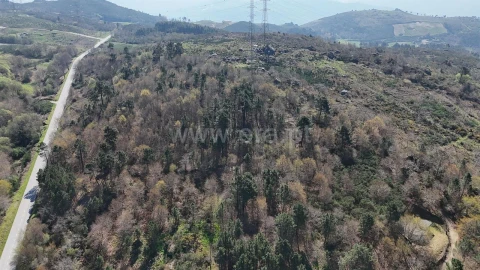 Terreno para Venda em Campelo e Ovil