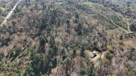 Terreno para Venda em Campelo e Ovil