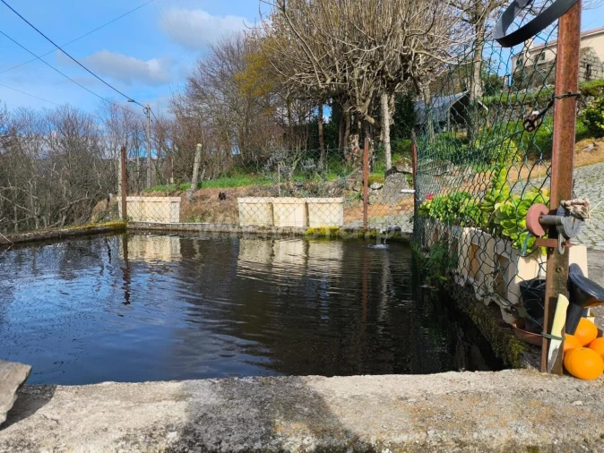 Terreno para Venda em Campelo e Ovil Foto 2