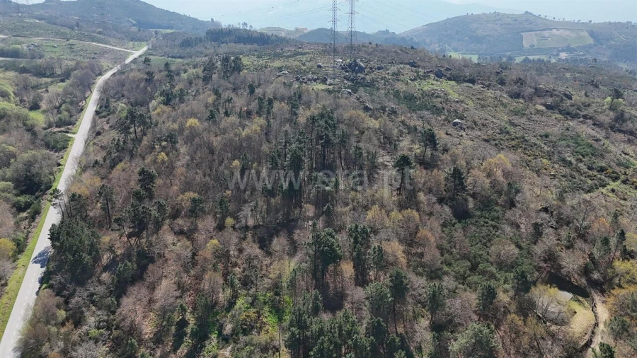 Terreno para Venda em Campelo e Ovil Foto 14