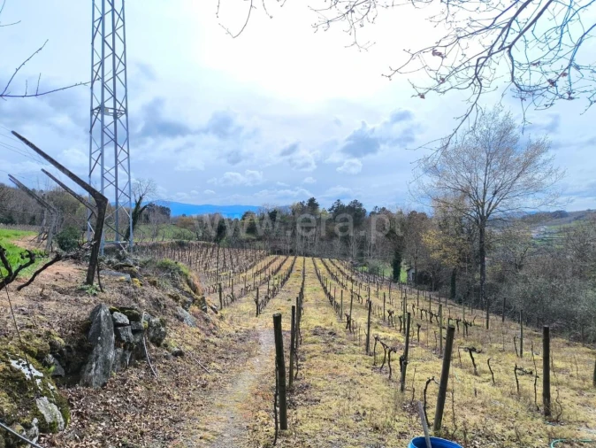 Terreno para Venda em Campelo e Ovil Foto 11