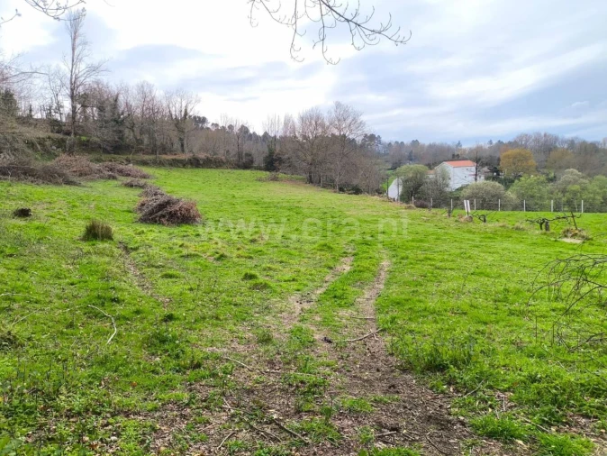 Terreno para Venda em Campelo e Ovil Foto 6