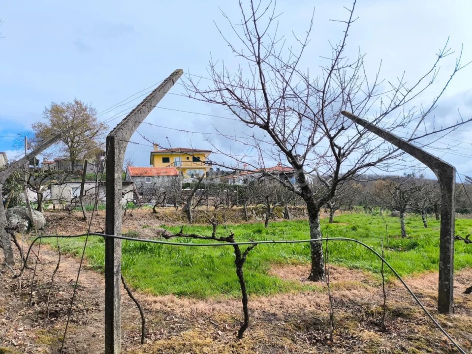 Terreno para Venda em Campelo e Ovil Foto 9