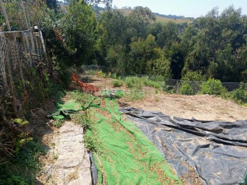 Moradia T3 para Venda em Lustosa e Barrosas (Santo Estêvão)