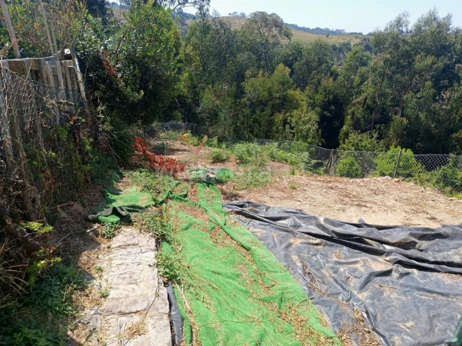 Moradia T3 para Venda em Lustosa e Barrosas (Santo Estêvão) Foto 4