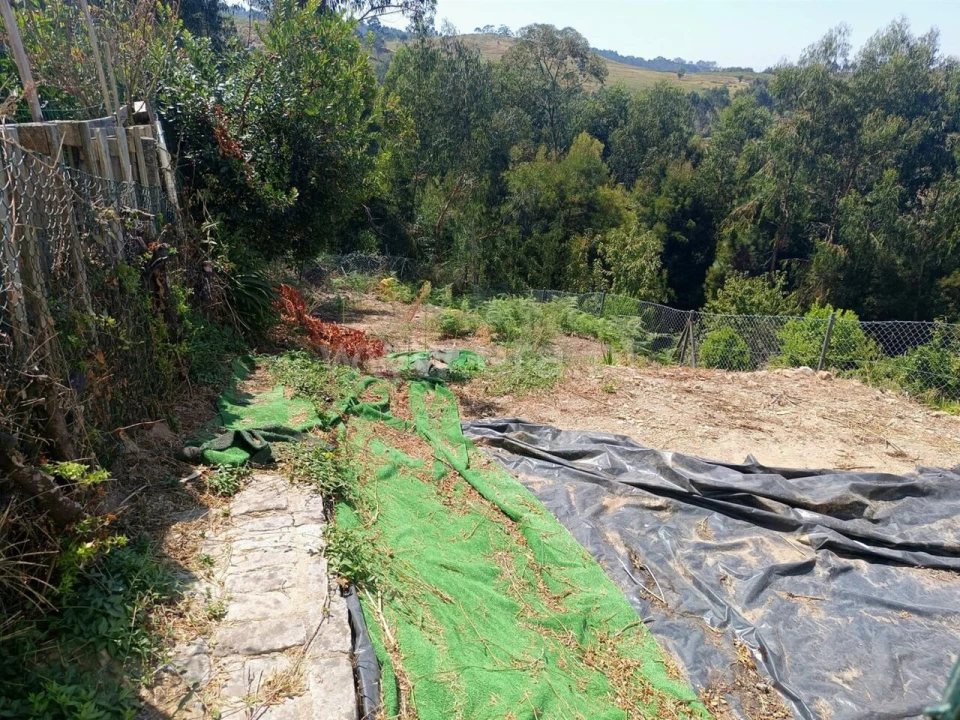 Moradia T3 para Venda em Lustosa e Barrosas (Santo Estêvão) Foto 4