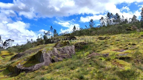 Terreno para Venda em Vila Boa de Quires e Maureles