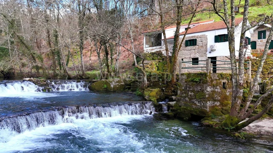 Moradia T3 para Venda em Várzea, Aliviada e Folhada Foto 6