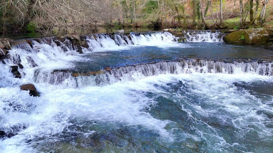 Moradia T3 para Venda em Várzea, Aliviada e Folhada Foto 11
