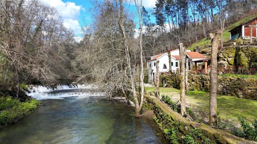 Moradia T3 para Venda em Várzea, Aliviada e Folhada Foto 9