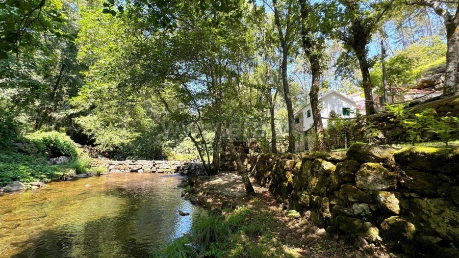Moradia T3 para Venda em Várzea, Aliviada e Folhada Foto 16