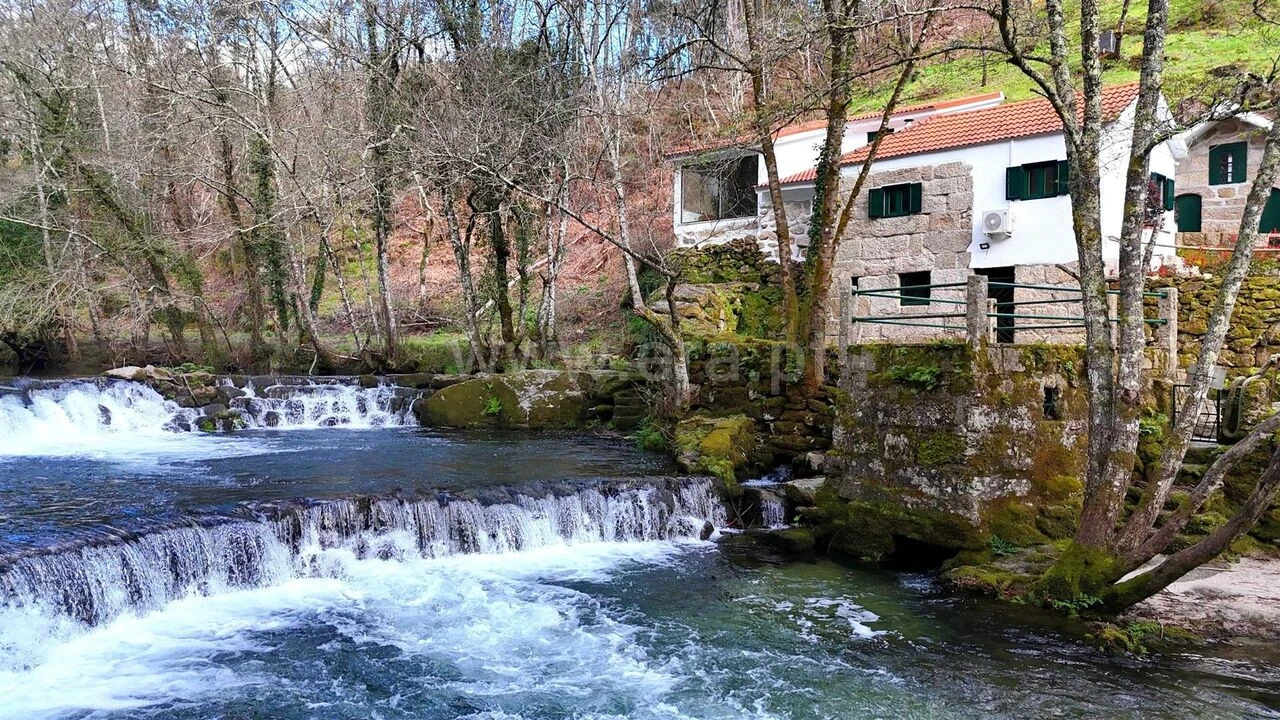 Moradia T3 para Venda em Várzea, Aliviada e Folhada Foto 6