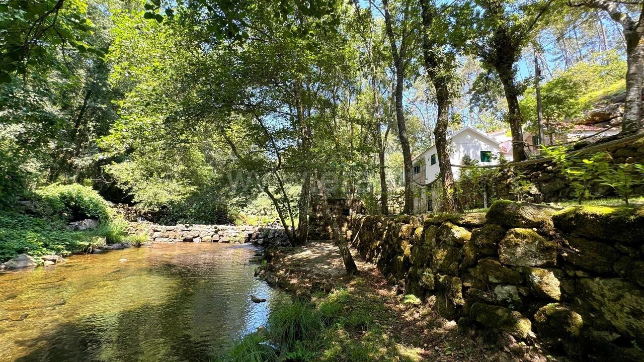 Moradia T3 para Venda em Várzea, Aliviada e Folhada Foto 16