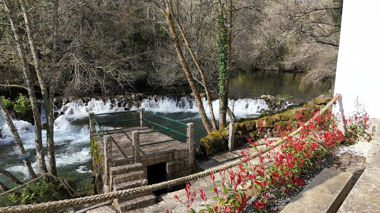 Moradia T3 para Venda em Várzea, Aliviada e Folhada Foto 5