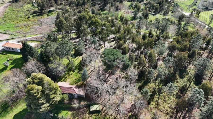 Moradia T2 para Venda em Vila Boa de Quires e Maureles Foto 9