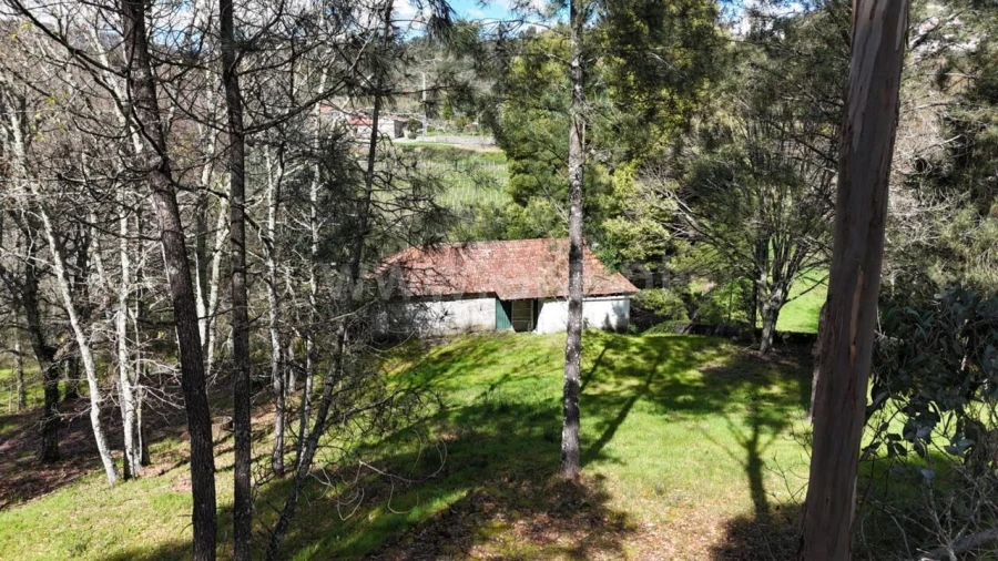 Moradia T2 para Venda em Vila Boa de Quires e Maureles Foto 10