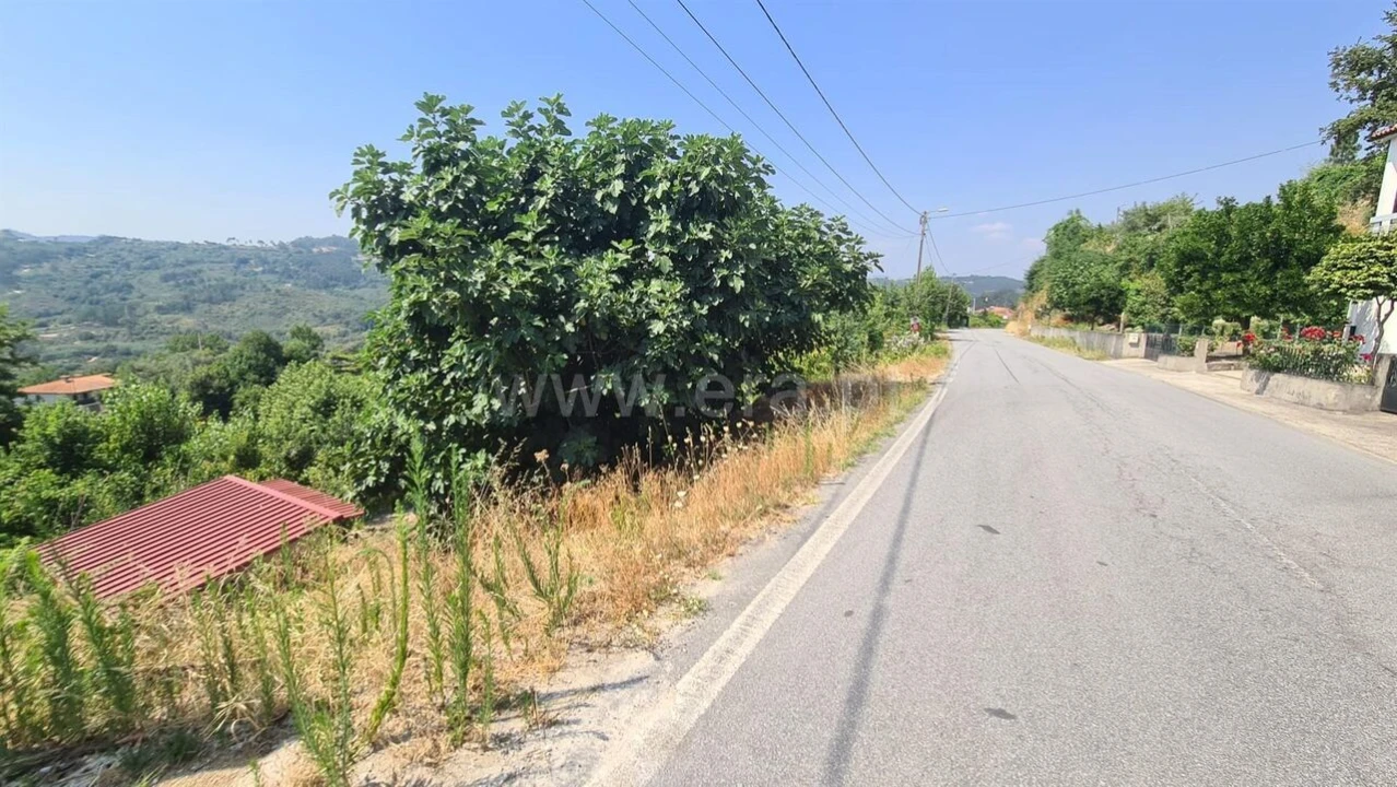 Terreno para Venda em Várzea, Aliviada e Folhada Foto 4