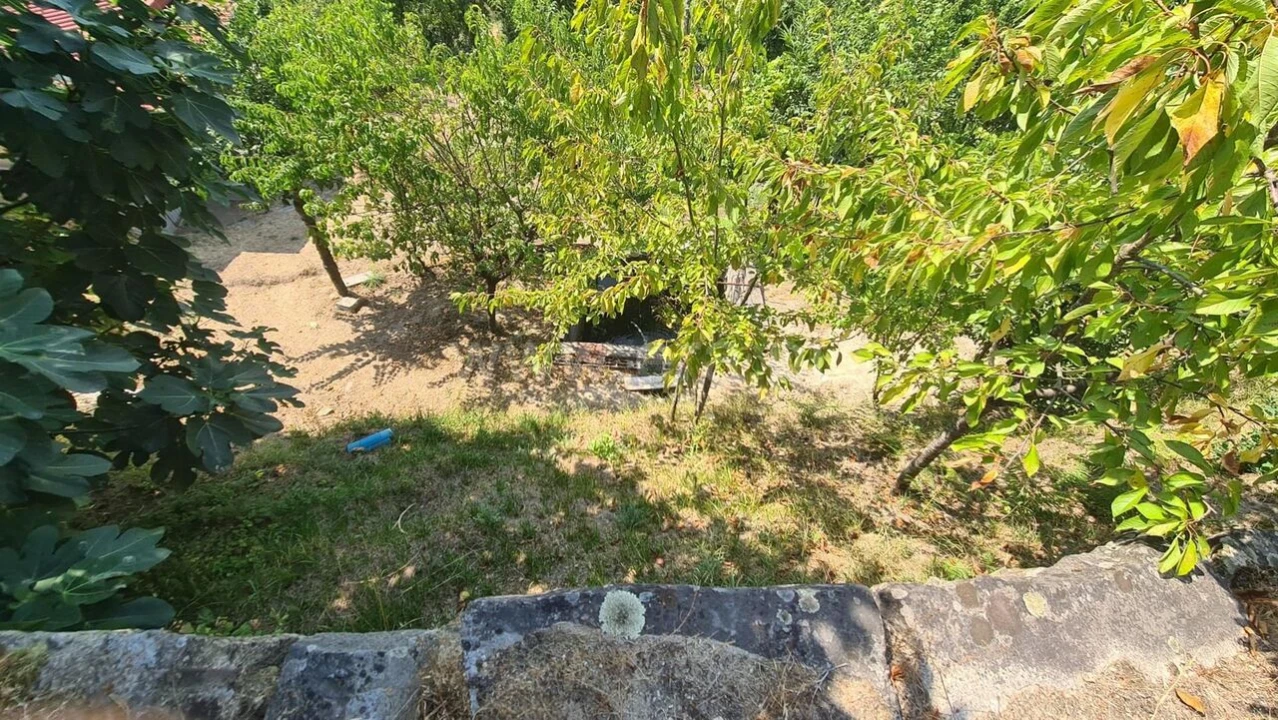 Terreno para Venda em Várzea, Aliviada e Folhada Foto 15