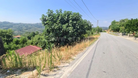 Terreno para Venda em Várzea, Aliviada e Folhada