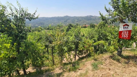 Terreno para Venda em Várzea, Aliviada e Folhada