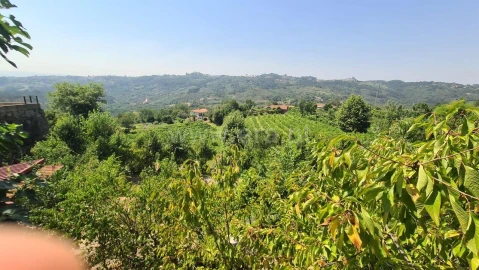 Terreno para Venda em Várzea, Aliviada e Folhada