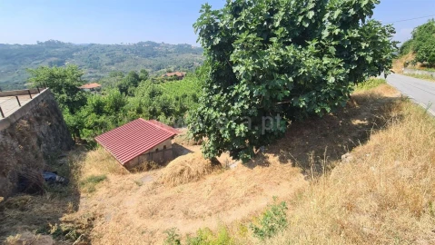 Terreno para Venda em Várzea, Aliviada e Folhada